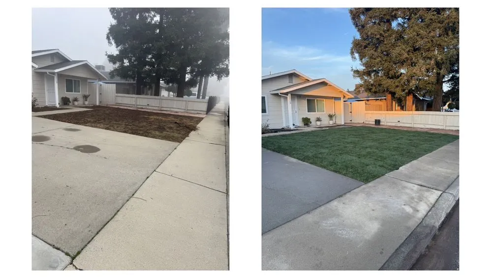 Top-rated residential landscaping for homes in Campbell, CA by Monarcas Lawn Maintenance
