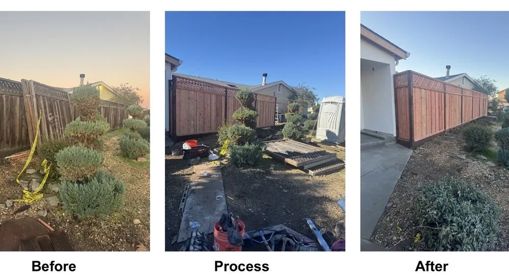 Trusted landscaping services experts serving Campbell, CA - Monarcas Lawn Maintenance