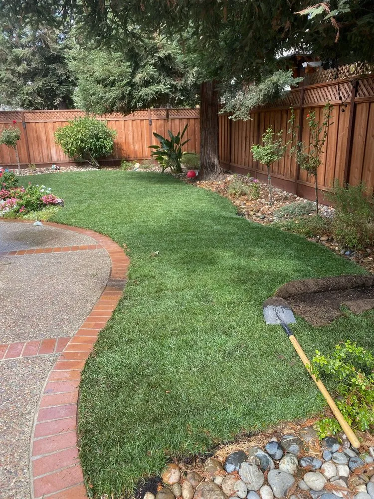 Top-rated yard cleanup service in Campbell, CA by Monarcas Lawn Maintenance