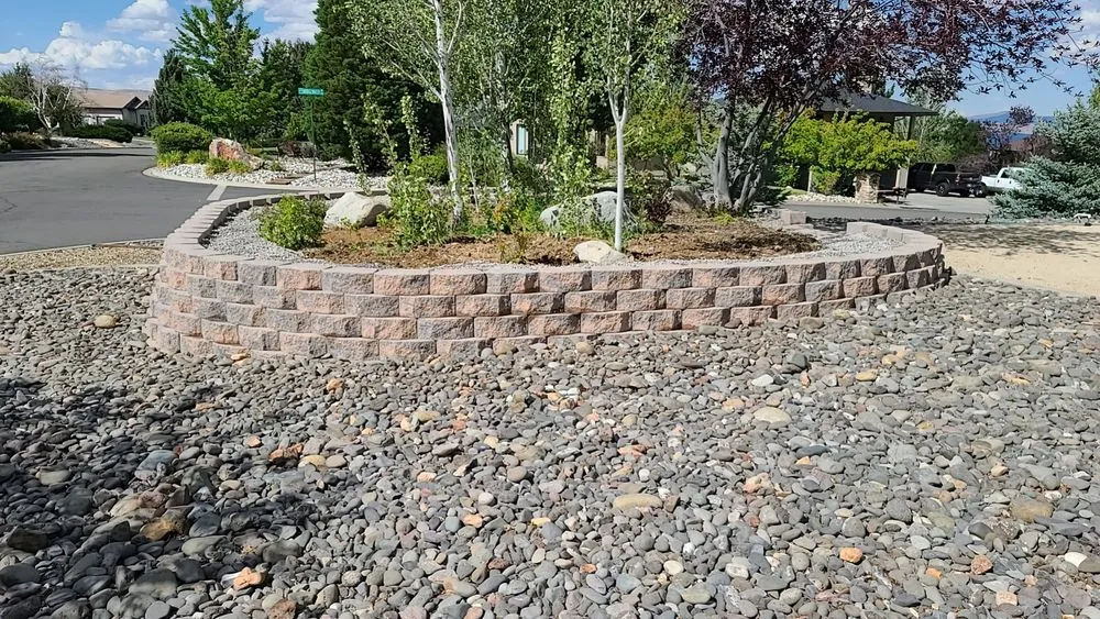 Expert yard cleanup service in Sparks, NV by Monarcas Lawn Services