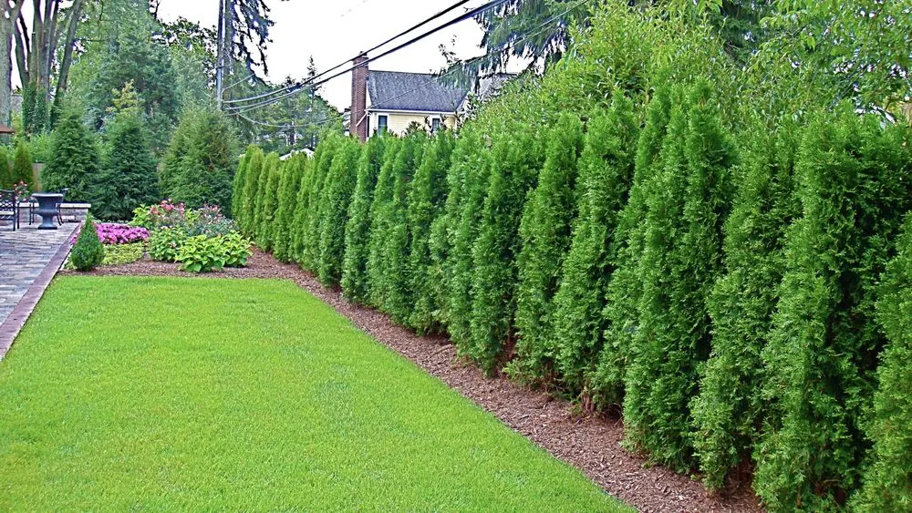 Professional outdoor landscaping for beautiful yards across West Bloomfield, MI - Monarch Construction