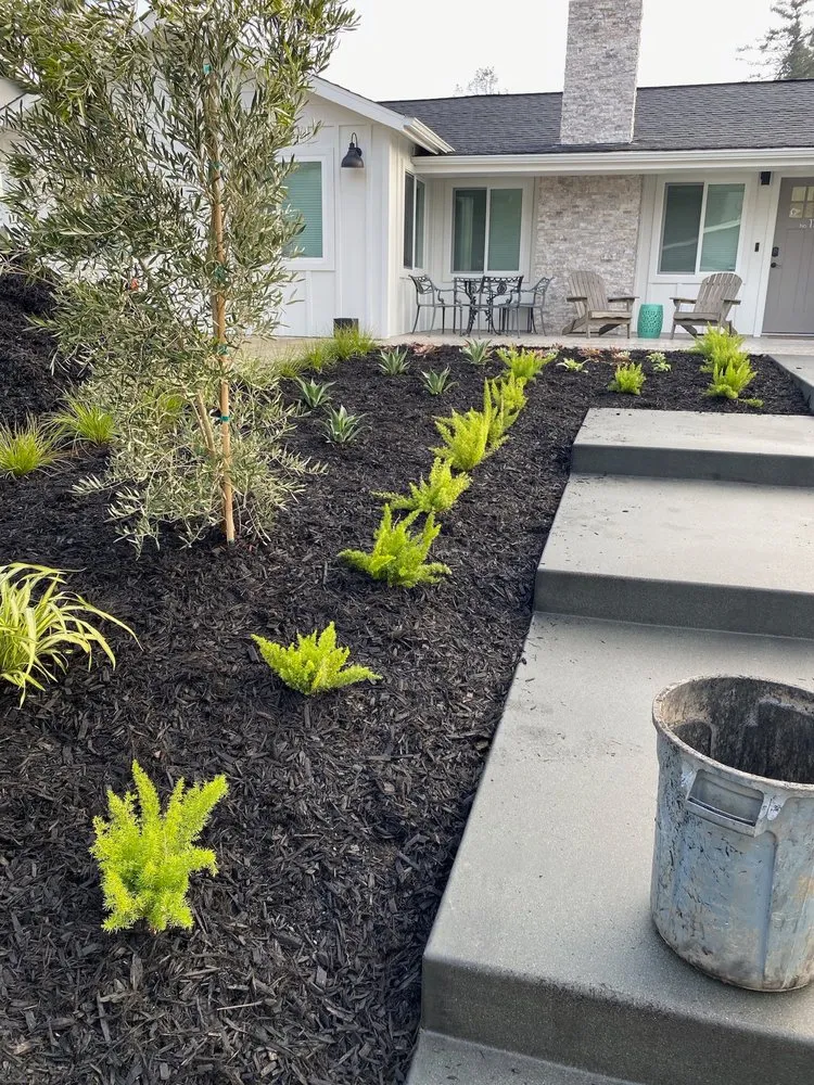 Top-rated garden landscaping in San Rafael, CA - Monarch Gardens