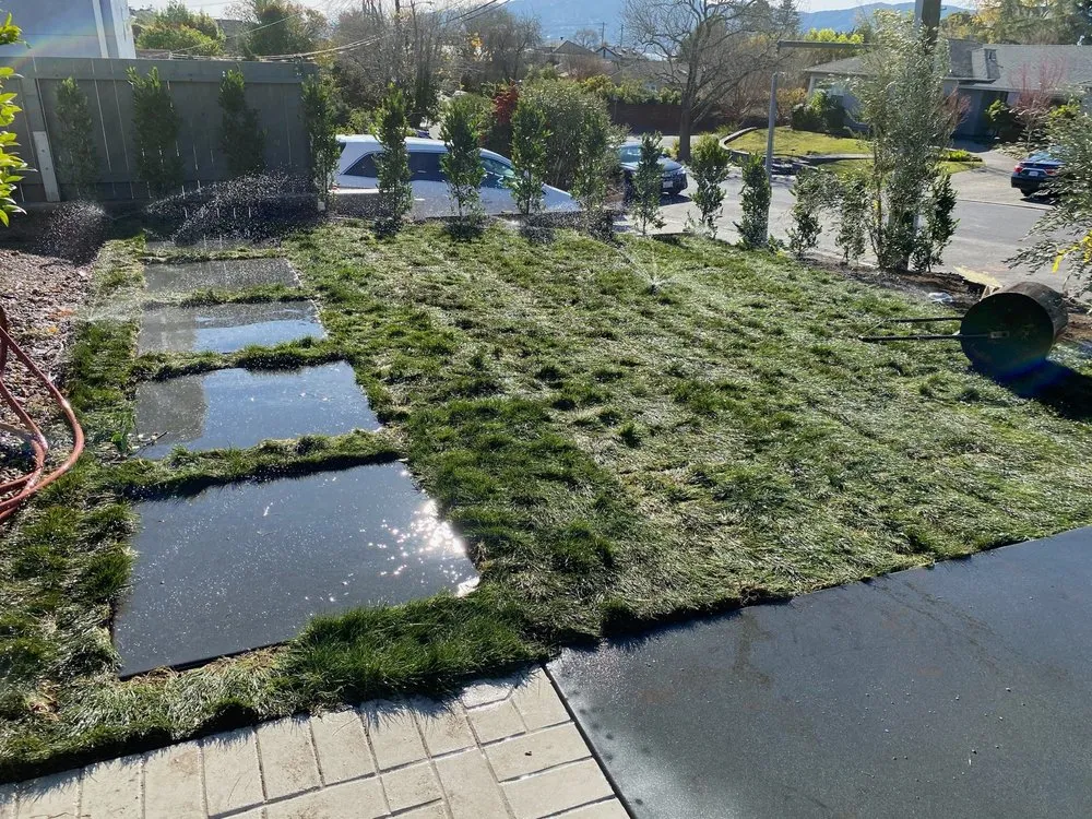 Affordable landscape installation in San Rafael, CA by Monarch Gardens