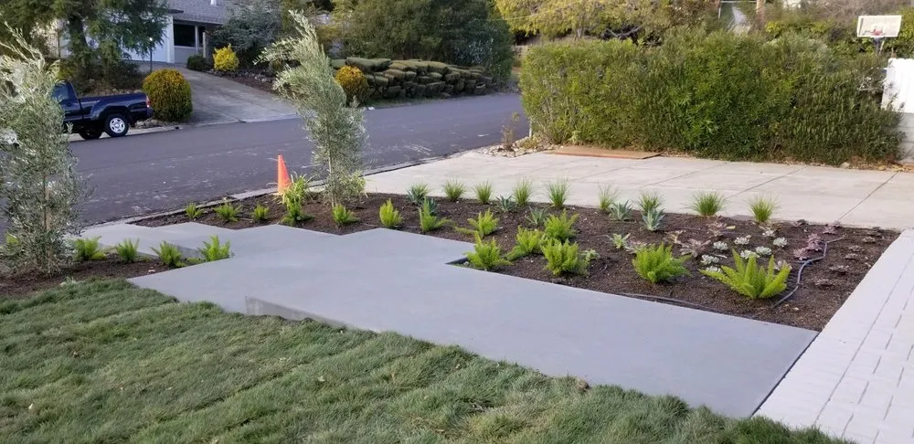 Local landscape installation for year-round maintenance across San Rafael, CA - Monarch Gardens
