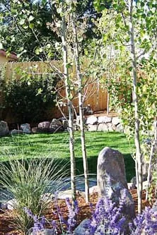 Custom yard cleanup service for beautiful yards across Fountain, CO - Monarch Landscaping and Construction