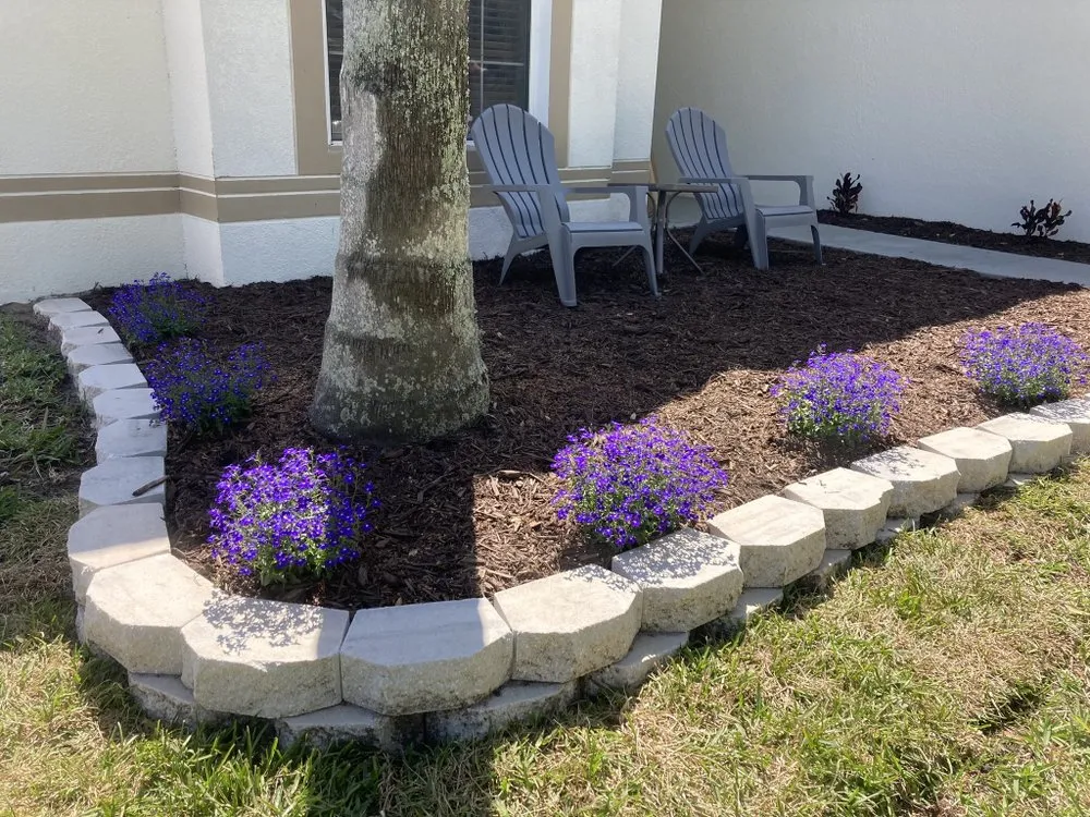 Local landscape design in Clermont, FL by Monarch Landscaping