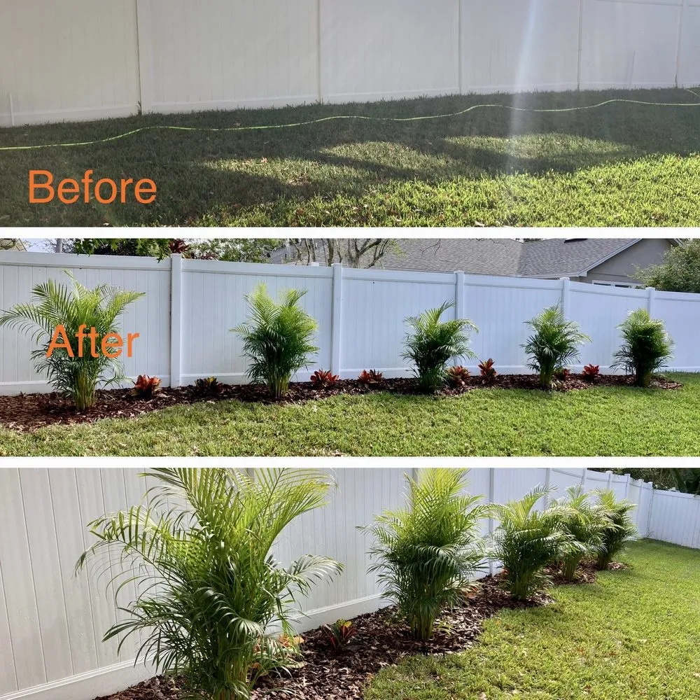 Affordable residential landscaping experts serving Clermont, FL - Monarch Landscaping