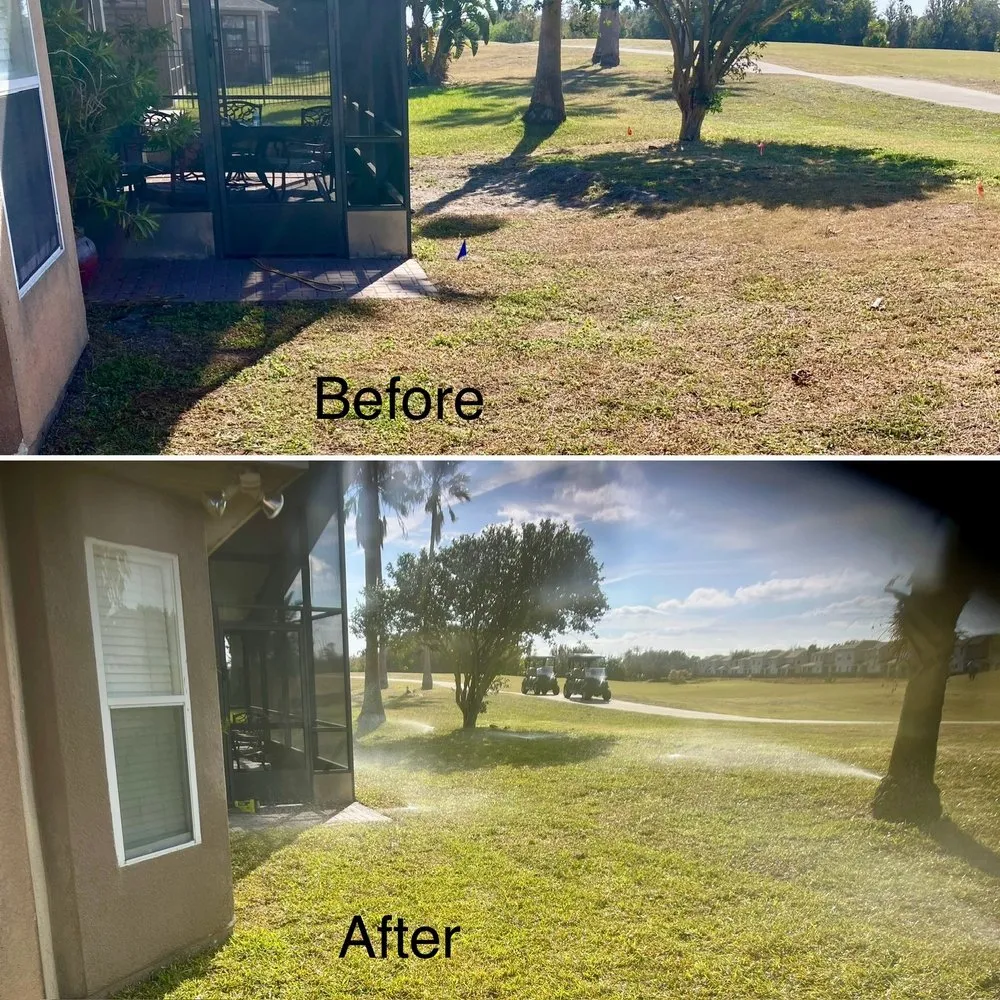 Affordable landscaping services for outdoor upgrades in Clermont, FL by Monarch Landscaping