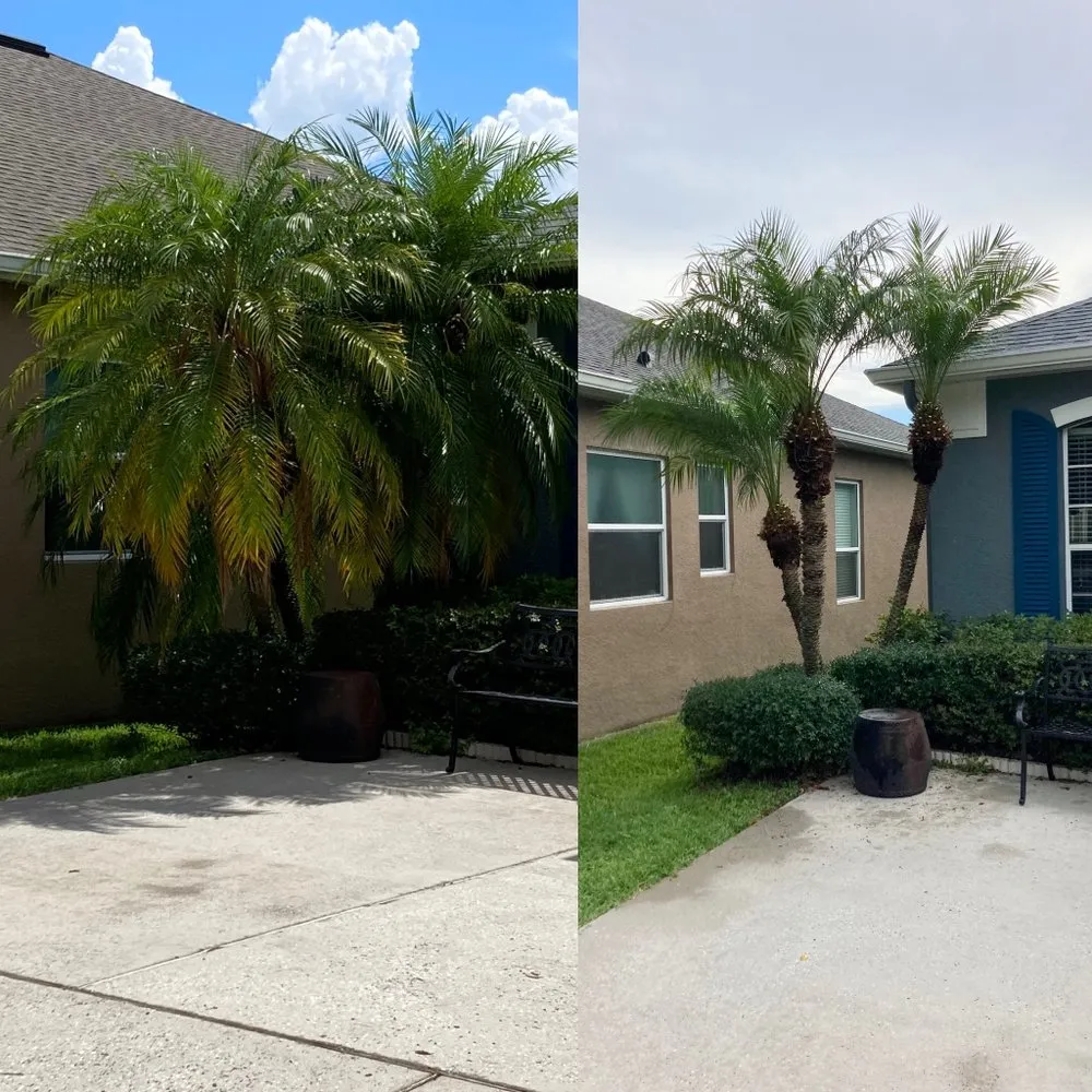 Trusted lawn care service with custom design in Clermont, FL by Monarch Landscaping