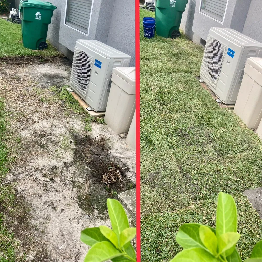 Custom lawn care service in Clermont, FL - Monarch Landscaping