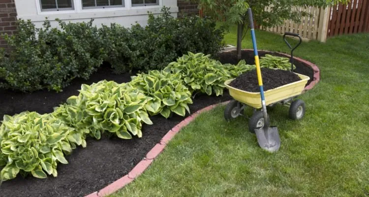 Professional residential landscaping in Indianapolis, IN - Monarch Lawn Care