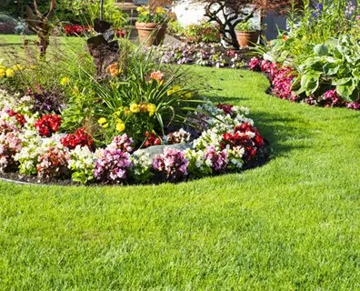 Trusted yard maintenance for beautiful yards across Indianapolis, IN - Monarch Lawn Care