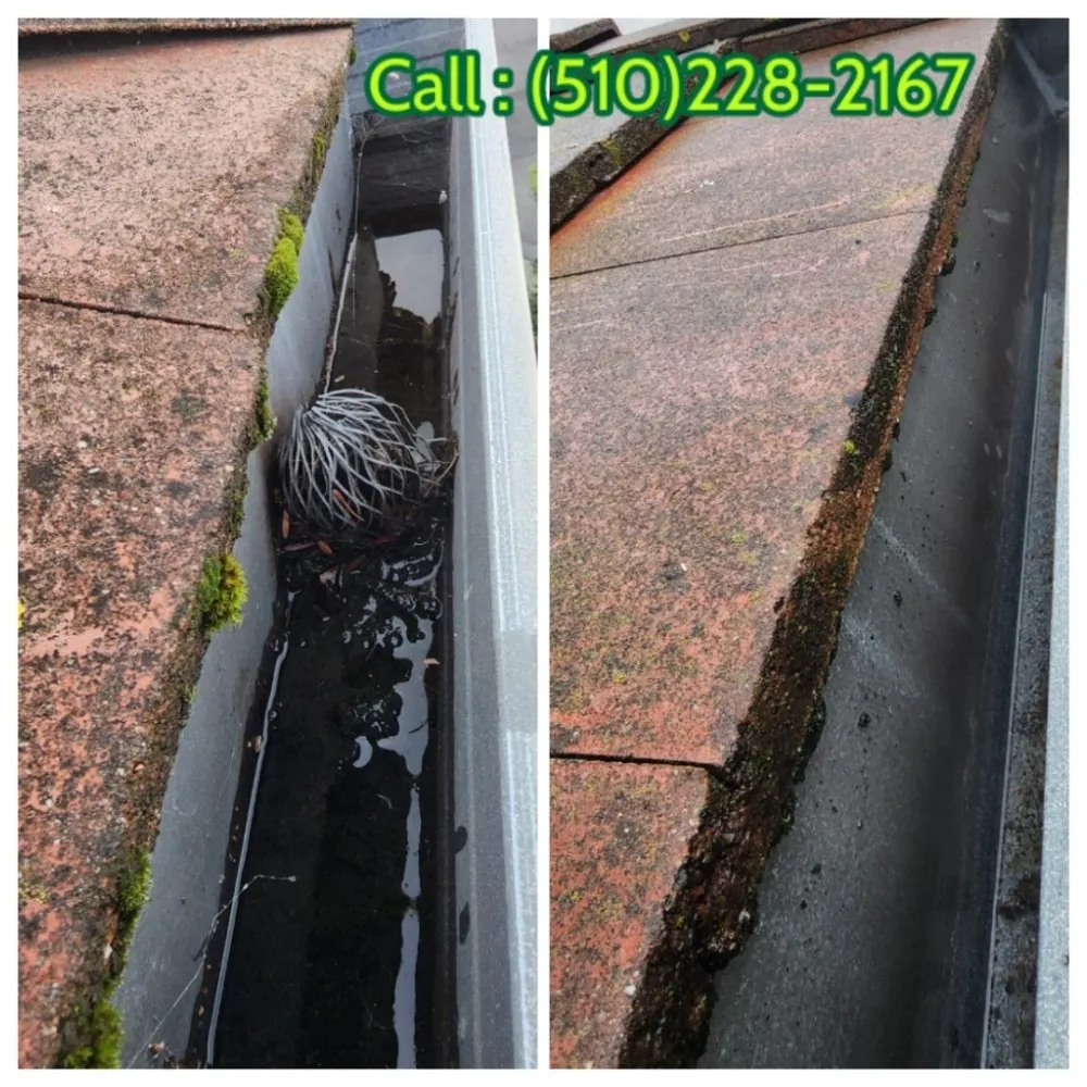 Trusted landscape installation for residential properties in Fremont, CA by Monarch Maintenance