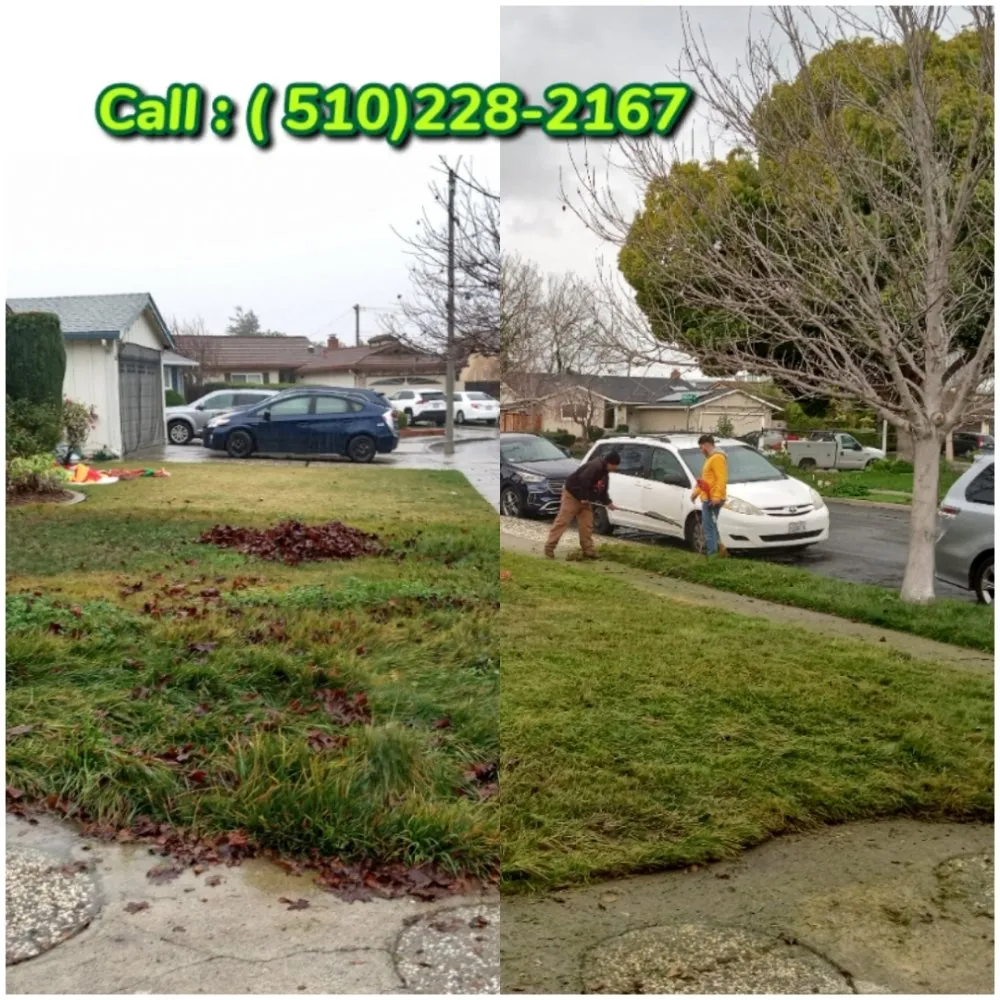Local landscaping services for outdoor upgrades across Fremont, CA - Monarch Maintenance