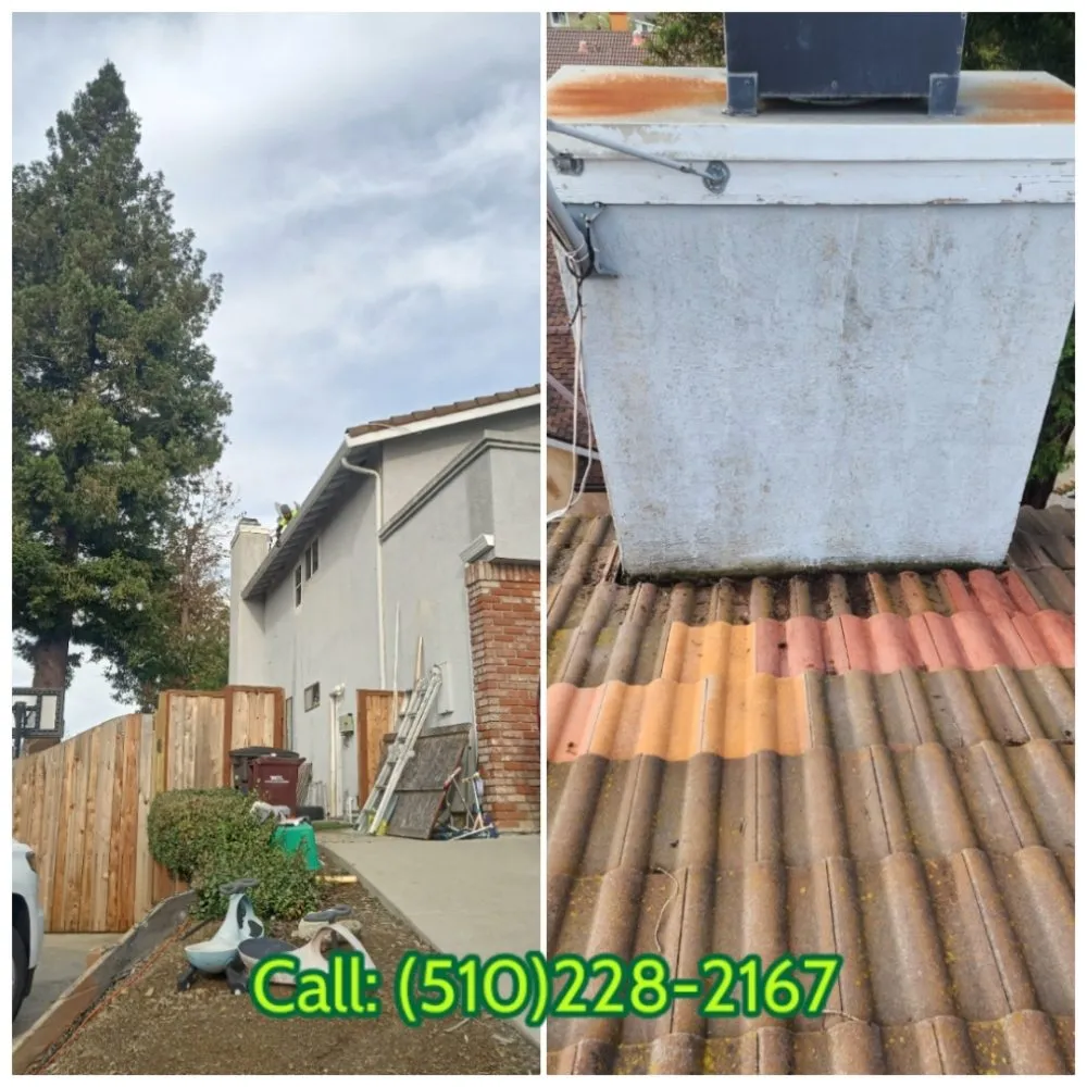 Professional yard maintenance in Fremont, CA - Monarch Maintenance