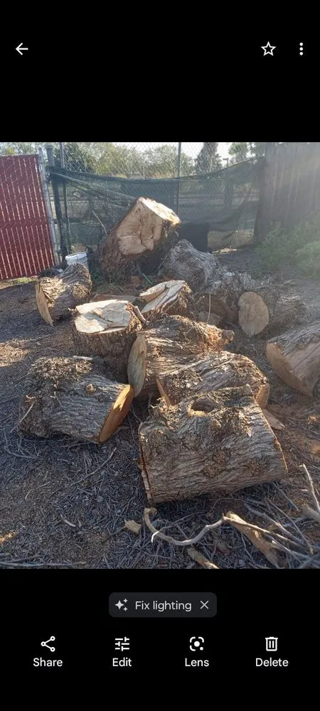 Expert yard cleanup service for year-round maintenance across Fremont, CA - Monarch Maintenance