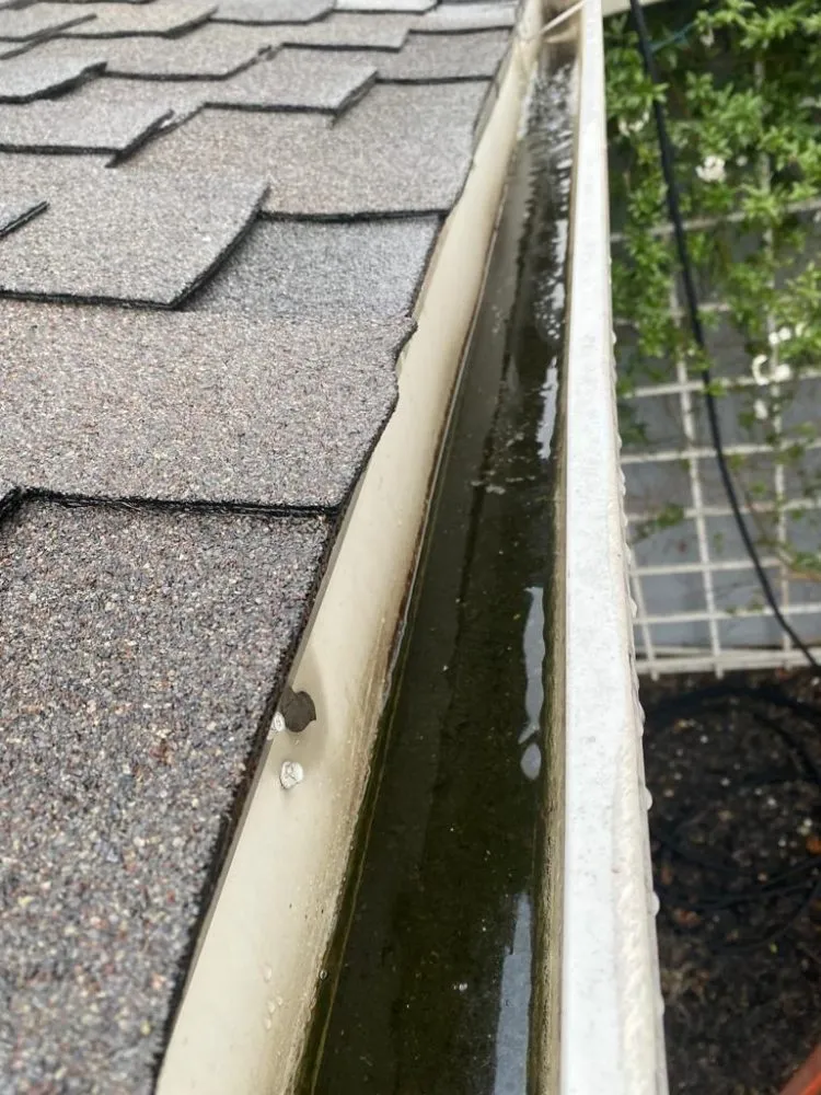 Local lawn mowing service in Fremont, CA - Monarch Maintenance