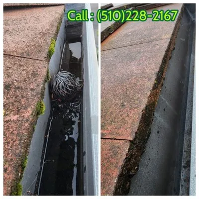 Monarch Maintenance Logo