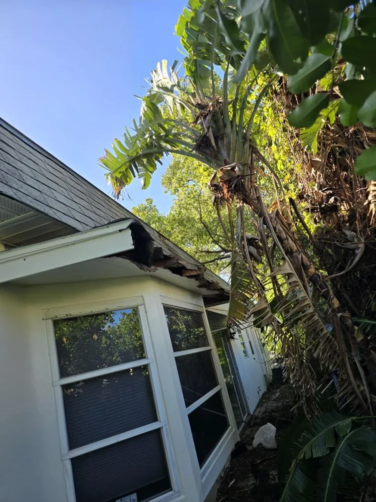 Affordable yard maintenance in Pinellas Park, FL by Monarch Solutions Tree Services and Landscaping