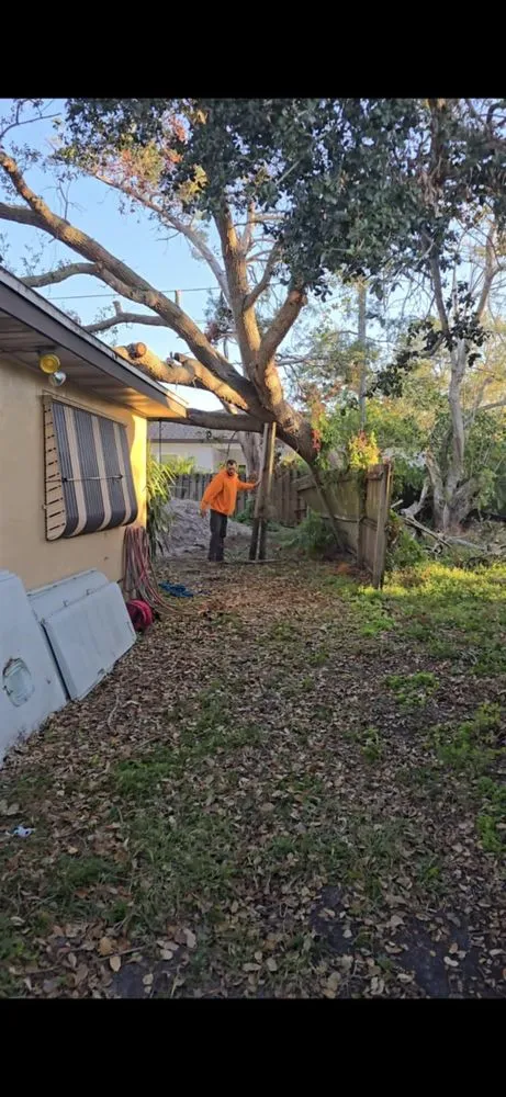 Local garden landscaping experts serving Pinellas Park, FL - Monarch Solutions Tree Services and Landscaping