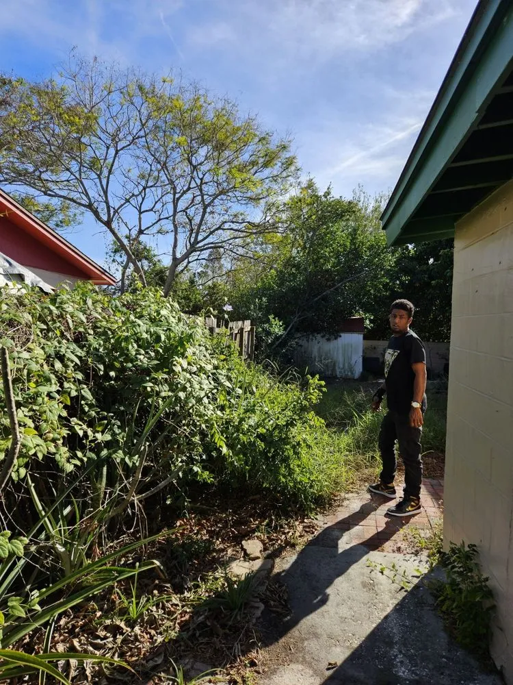 Top-rated landscaping services in Pinellas Park, FL - Monarch Solutions Tree Services and Landscaping