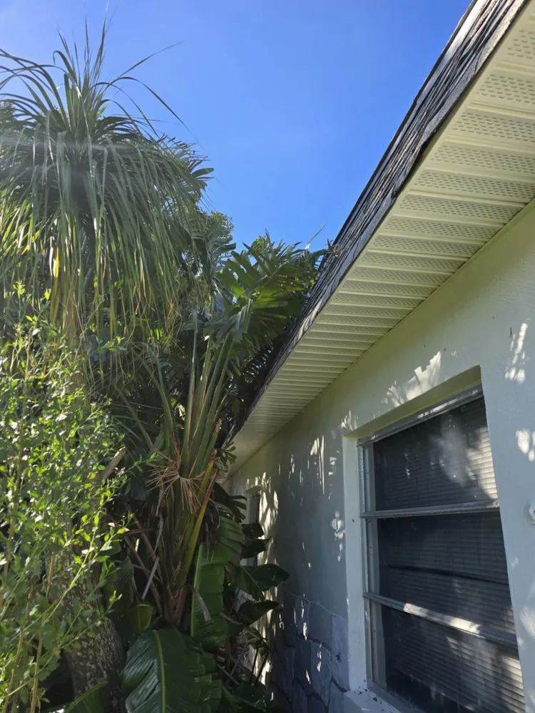 Reliable lawn mowing service in Pinellas Park, FL - Monarch Solutions Tree Services and Landscaping