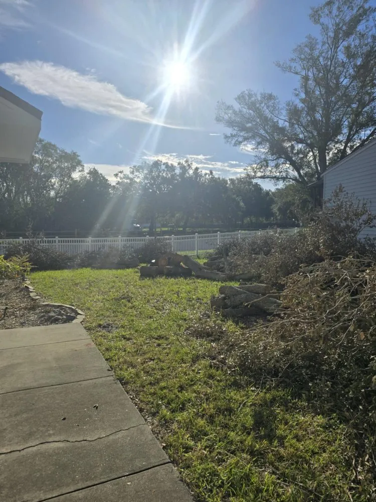 Local landscaping services experts serving Pinellas Park, FL - Monarch Solutions Tree Services and Landscaping