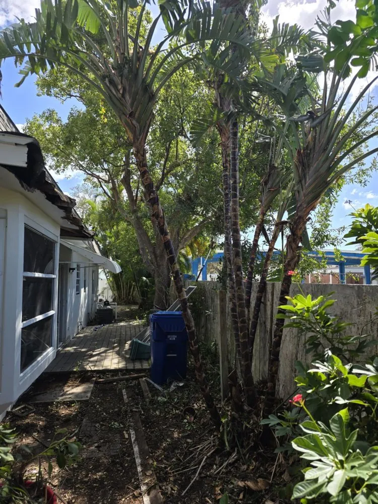 Affordable yard cleanup service near you in Pinellas Park, FL by Monarch Solutions Tree Services and Landscaping