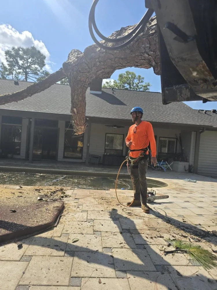 Affordable landscaping services in Pinellas Park, FL - Monarch Solutions Tree Services and Landscaping