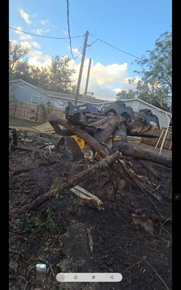 Reliable landscape installation for year-round maintenance in Pinellas Park, FL by Monarch Solutions Tree Services and Landscaping