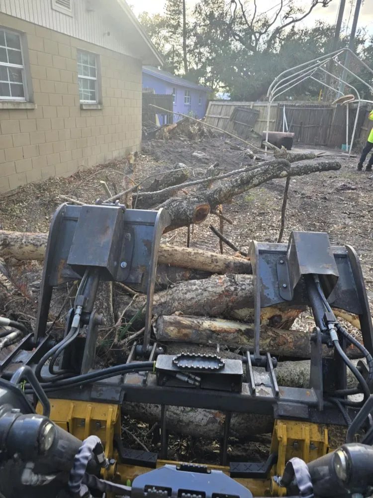 Reliable landscaping services for residential properties in Pinellas Park, FL by Monarch Solutions Tree Services and Landscaping