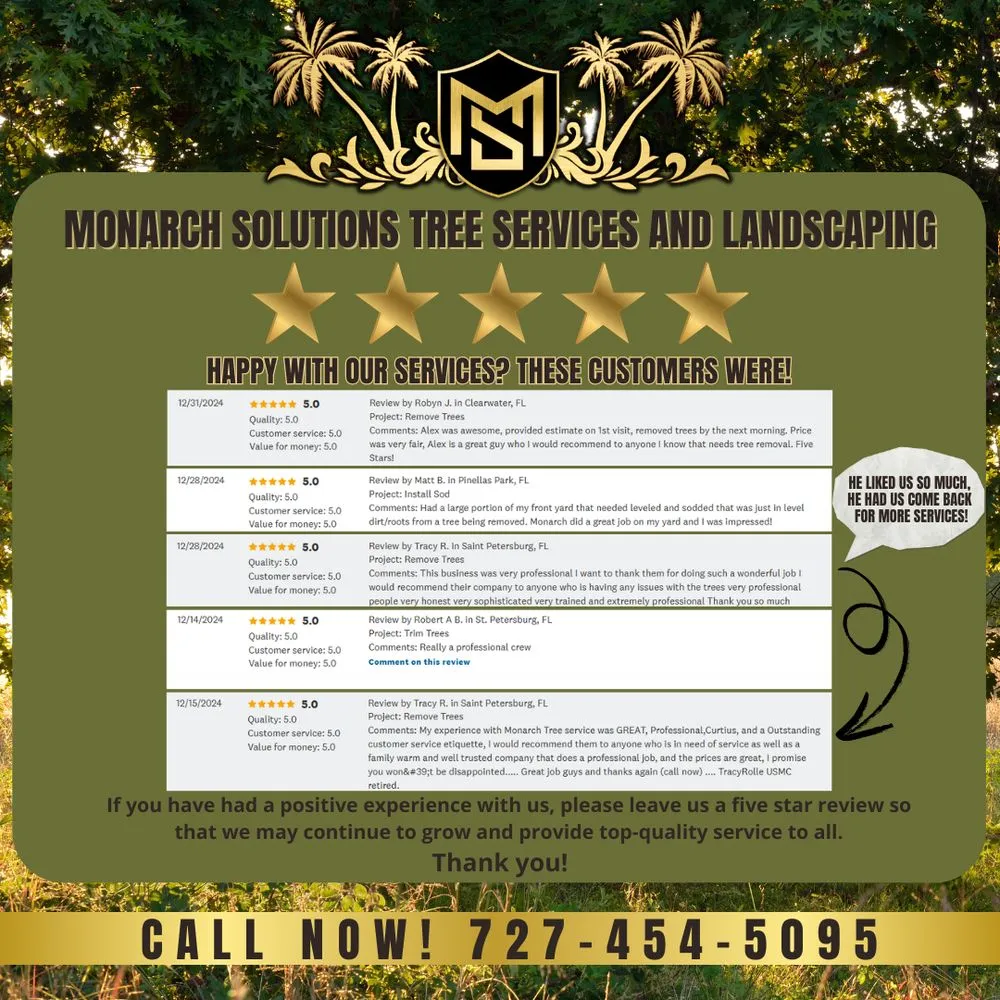 Top-rated outdoor landscaping for residential properties across Pinellas Park, FL - Monarch Solutions Tree Services and Landscaping