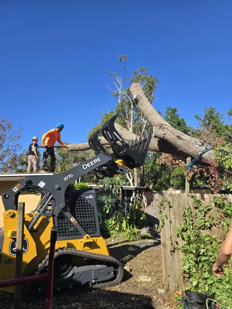 Reliable yard cleanup service near you in Pinellas Park, FL by Monarch Solutions Tree Services and Landscaping