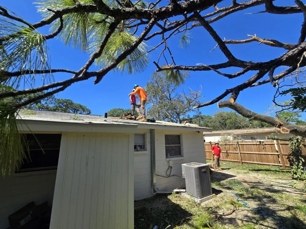 Reliable landscape design for beautiful yards in Pinellas Park, FL by Monarch Solutions Tree Services and Landscaping