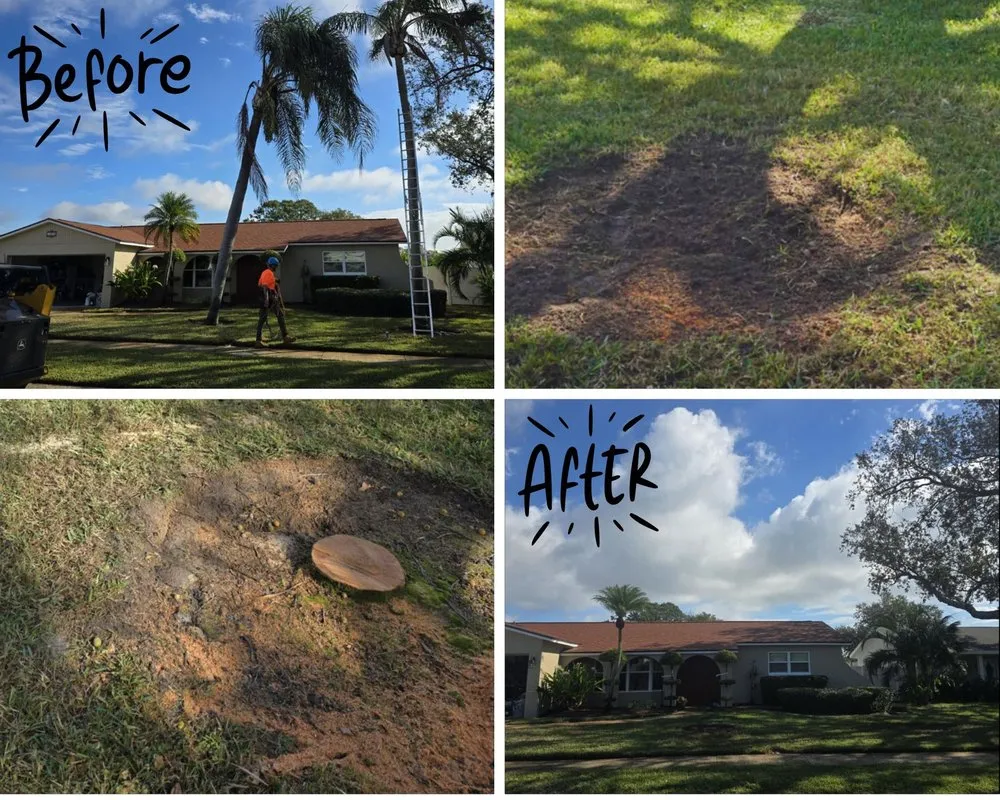 Trusted outdoor landscaping in Pinellas Park, FL by Monarch Solutions Tree Services and Landscaping