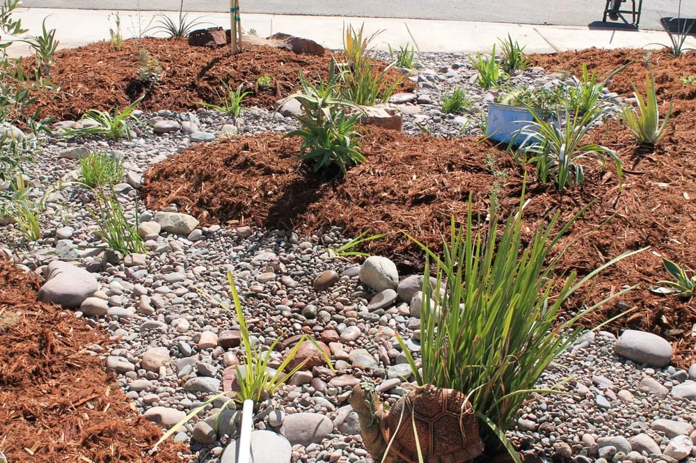 Trusted residential landscaping with custom design across Temecula, CA - Monarch Sustainable Landscaping