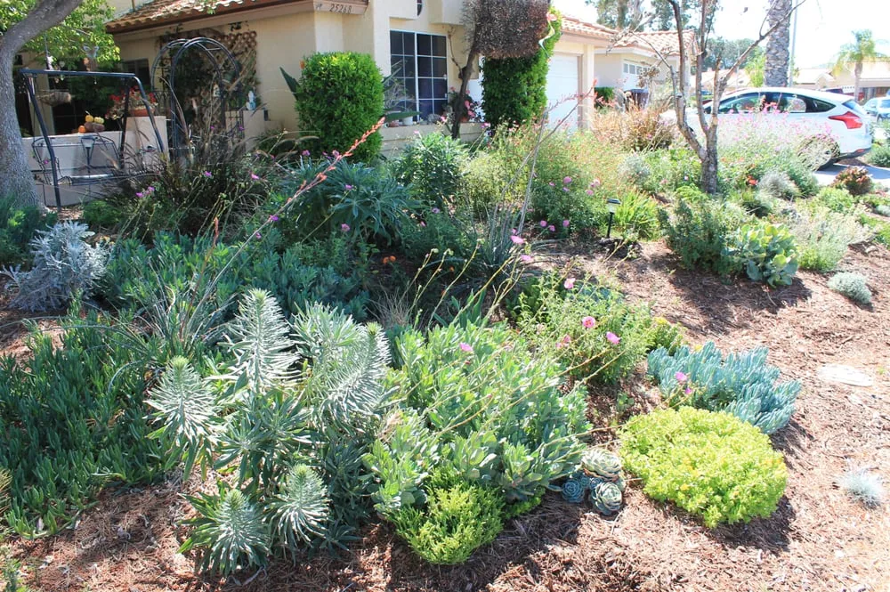 Reliable residential landscaping experts serving Temecula, CA - Monarch Sustainable Landscaping