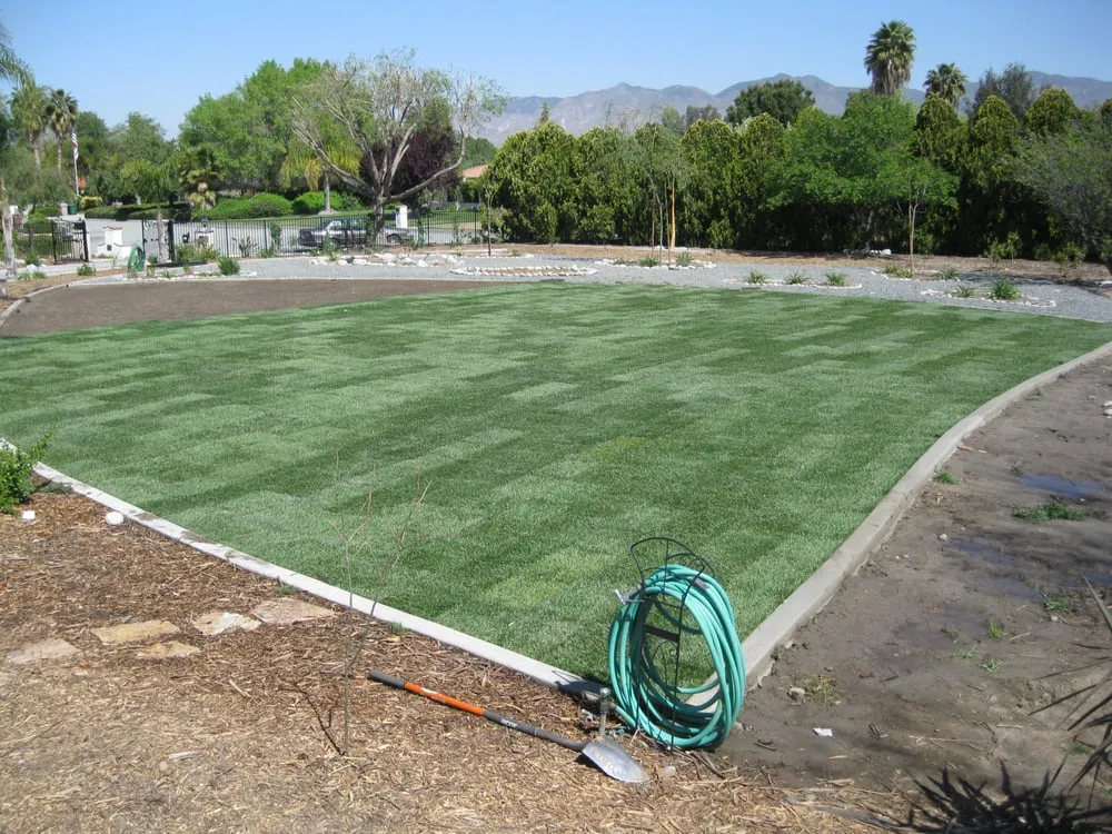 Trusted yard cleanup service in Temecula, CA - Monarch Sustainable Landscaping