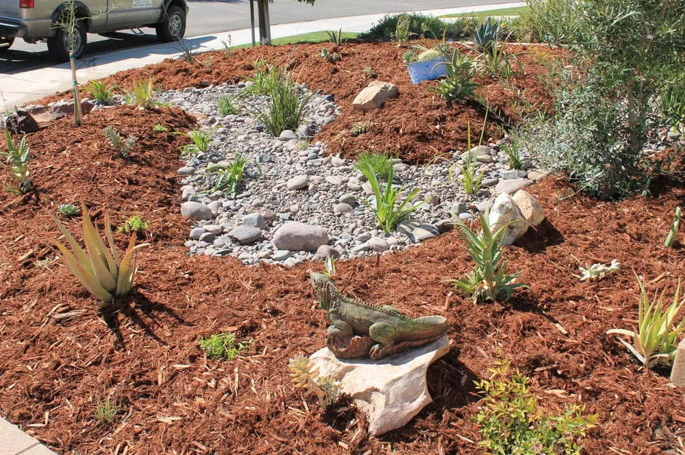 Professional yard maintenance in Temecula, CA by Monarch Sustainable Landscaping