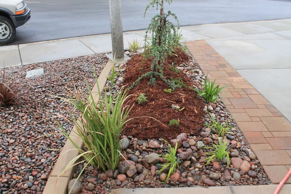 Expert residential landscaping with custom design in Temecula, CA by Monarch Sustainable Landscaping