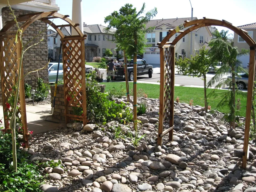 Custom lawn care service for year-round maintenance across Temecula, CA - Monarch Sustainable Landscaping