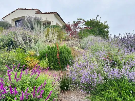 Monarch Sustainable Landscaping