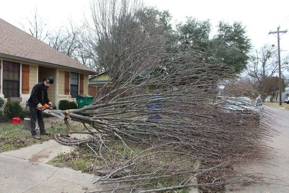 Custom yard maintenance for beautiful yards in Sherman, TX by Monarch Tree & Landscaping Service