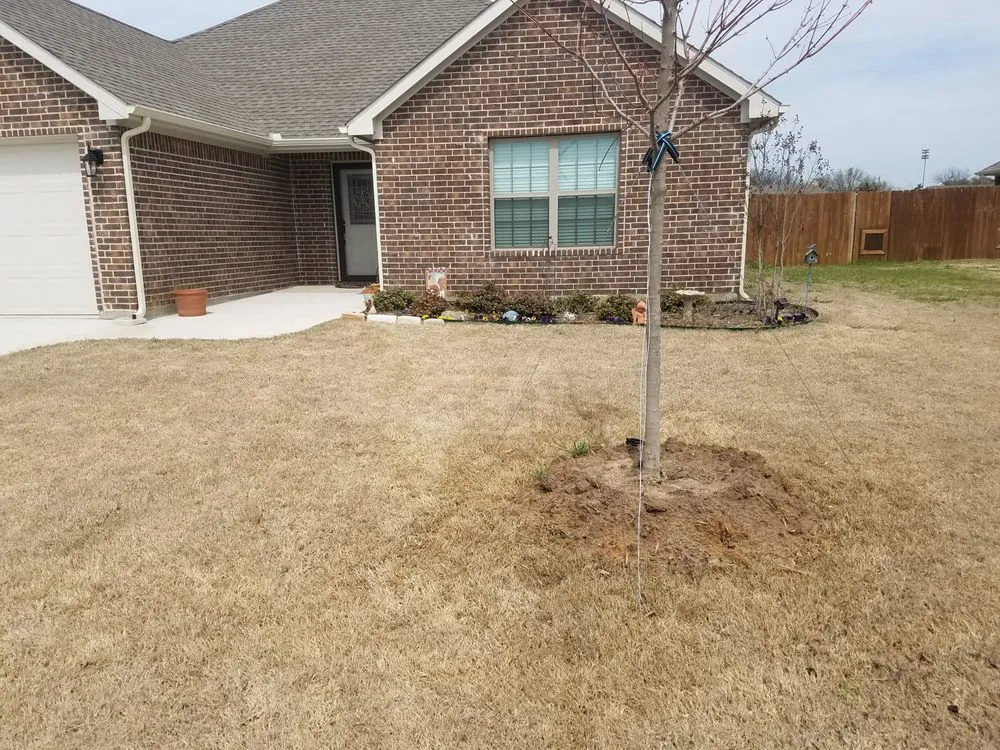 Expert yard maintenance experts serving Sherman, TX - Monarch Tree & Landscaping Service