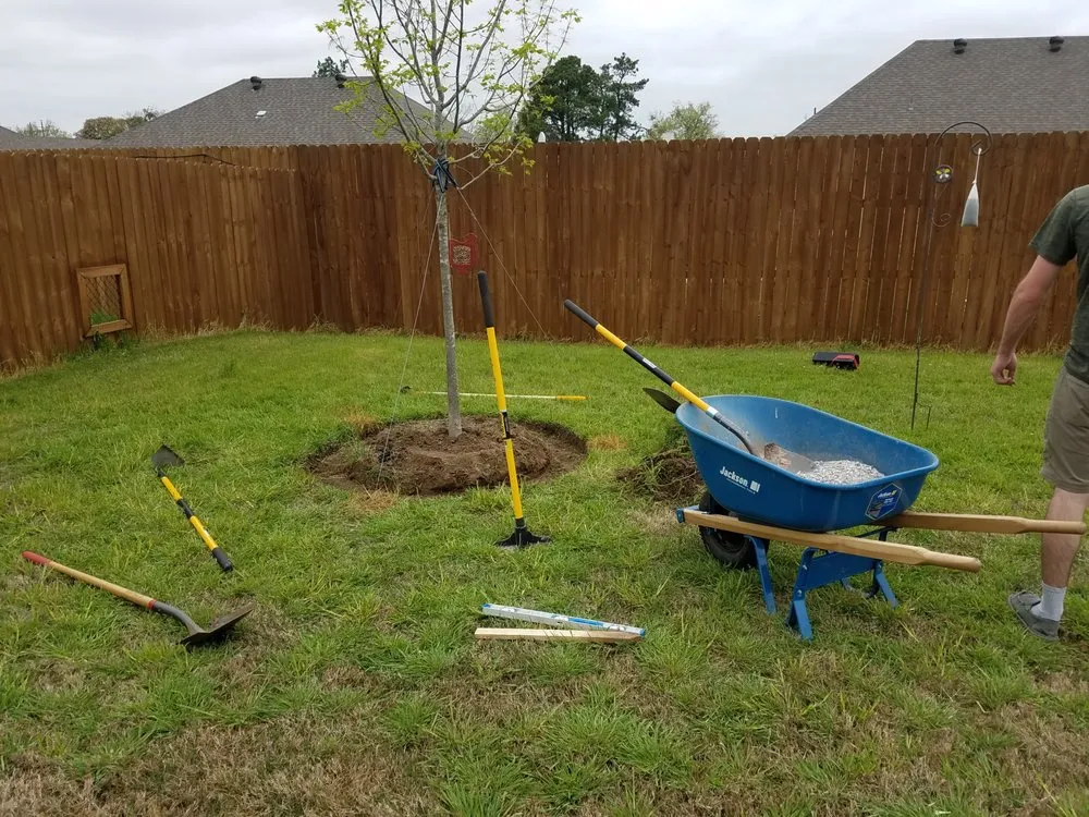 Professional landscaping services in Sherman, TX - Monarch Tree & Landscaping Service