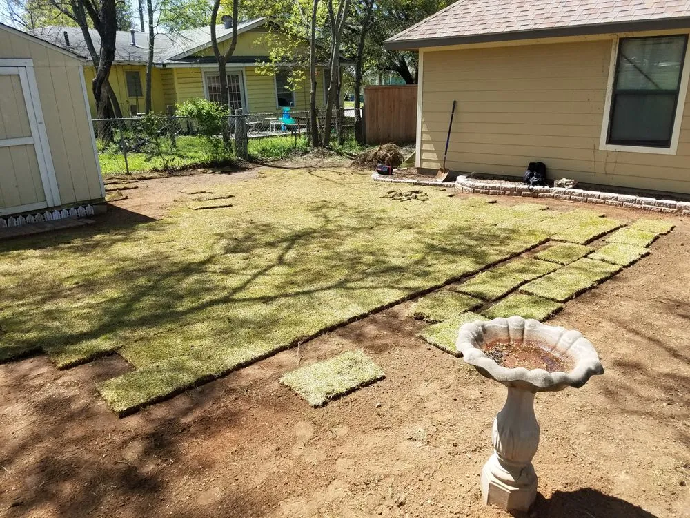 Local yard cleanup service experts serving Sherman, TX - Monarch Tree & Landscaping Service