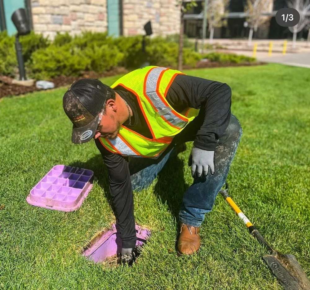 Affordable yard maintenance for beautiful yards across Santa Rosa, CA - Monarch Tree Services