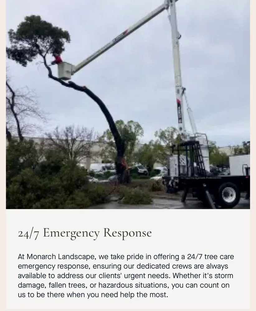 Reliable lawn mowing service experts serving Santa Rosa, CA - Monarch Tree Services