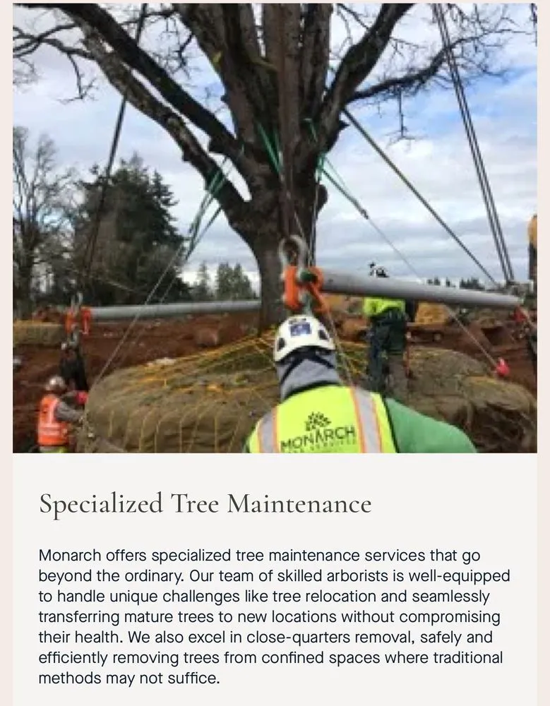 Custom lawn mowing service in Santa Rosa, CA by Monarch Tree Services