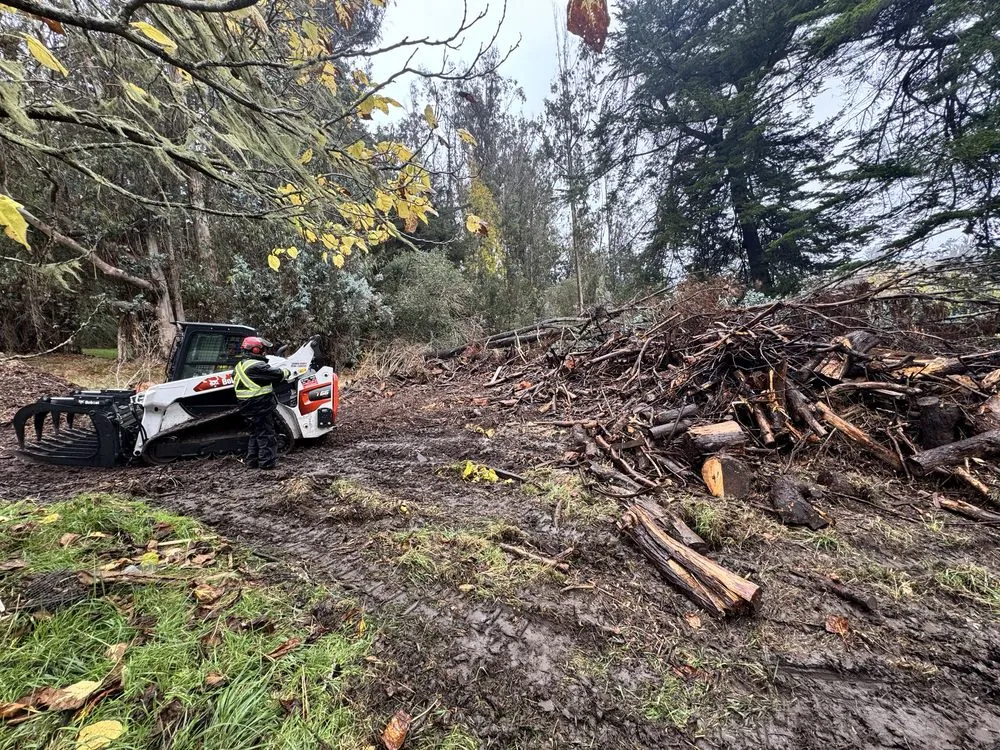 Expert outdoor landscaping in Santa Rosa, CA - Monarch Tree Services